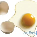 بهترین روش طبخ و خوردن تخم مرغ