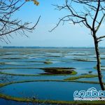 دریاچه لاک تک؛ تنها پارک ملی حفاظت شده شناور در جهان