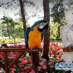 باغ پرندگان یکی از جاهای دیدنی پرطرفدار تهران است