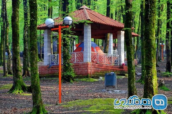 پارک جنگلی امام رضا یکی از تفرجگاه های معروف استان گلستان است